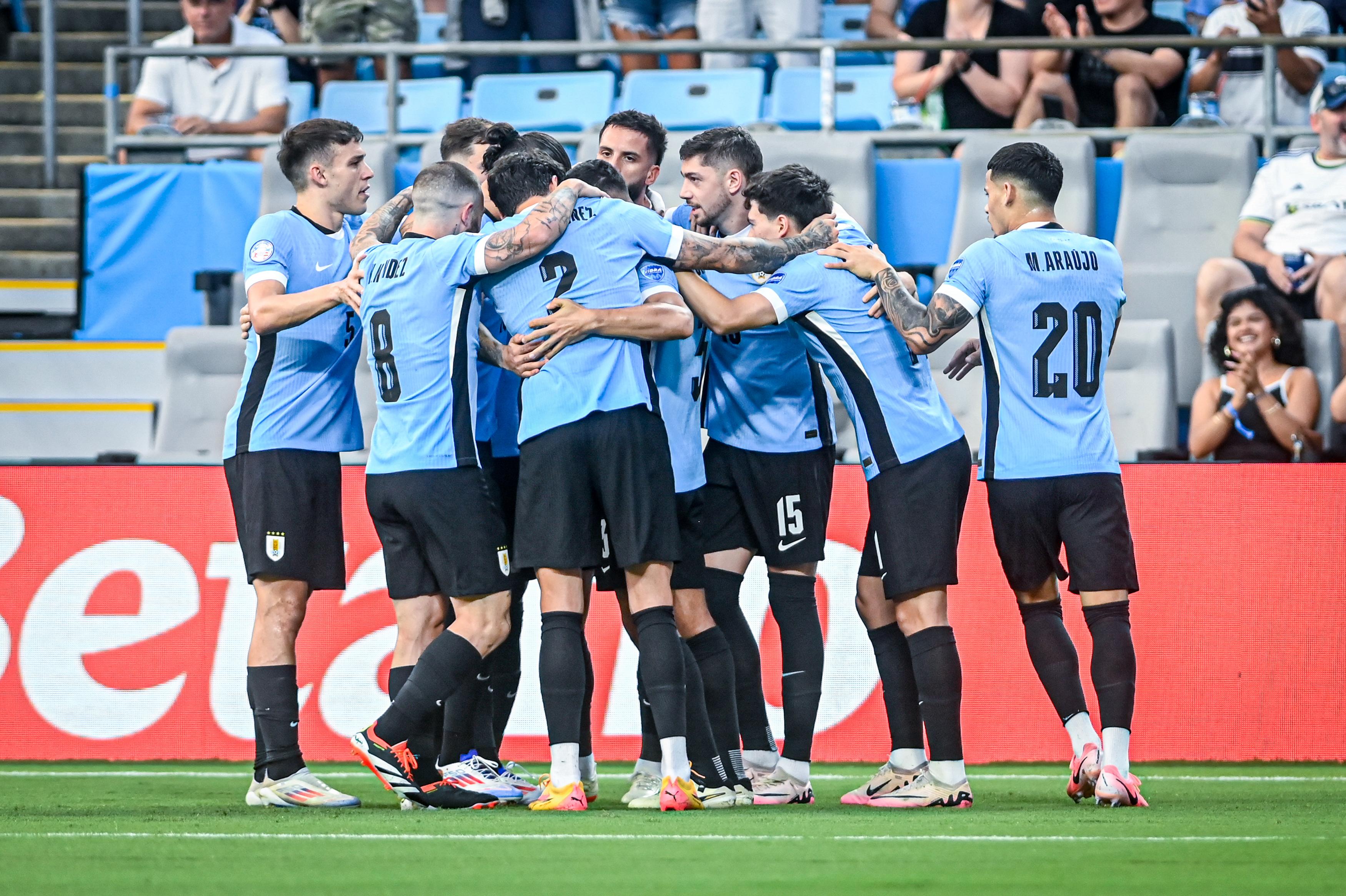 CONMEBOL Copa América™