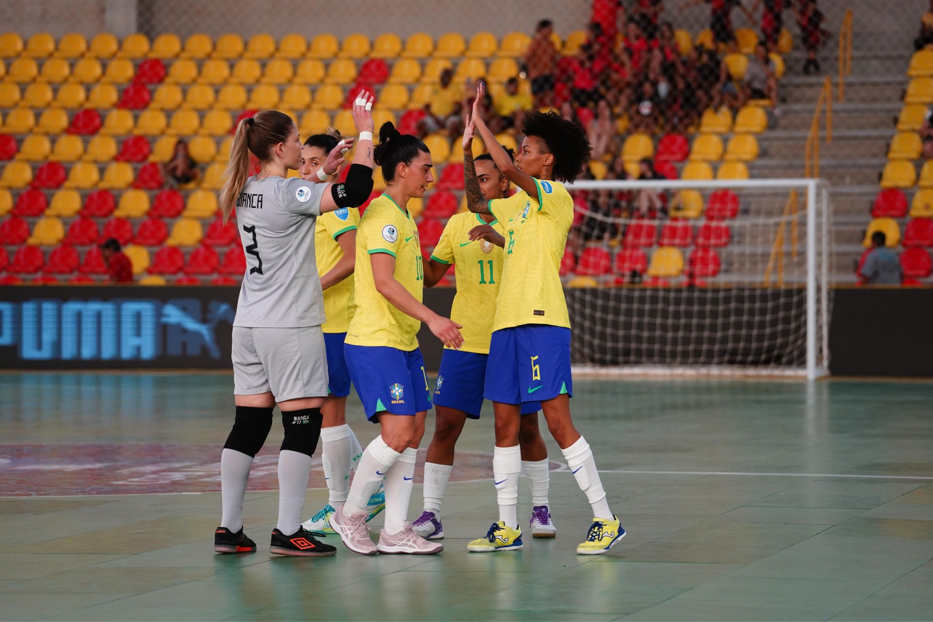 CONMEBOL Copa América™